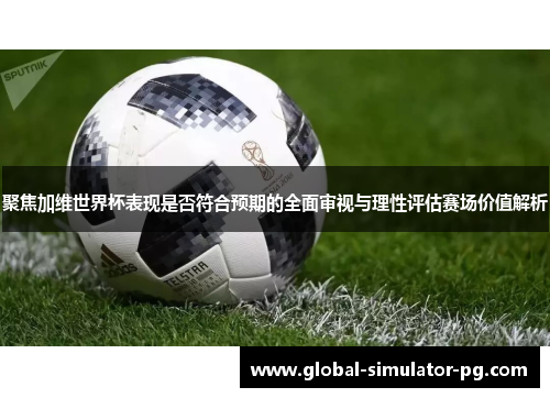 聚焦加维世界杯表现是否符合预期的全面审视与理性评估赛场价值解析 聚焦加维世界杯表现是否符合预期的全面审视与理性评估赛场价值解析