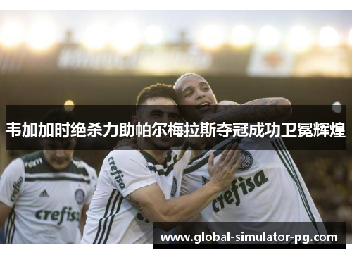 韦加加时绝杀力助帕尔梅拉斯夺冠成功卫冕辉煌
