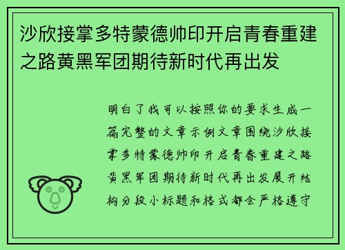 沙欣接掌多特蒙德帅印开启青春重建之路黄黑军团期待新时代再出发